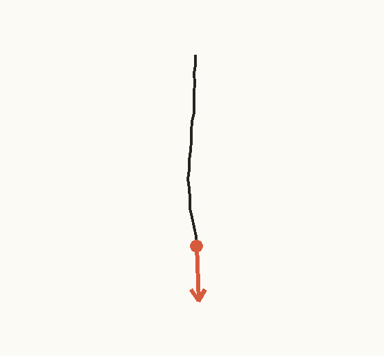 A single grown root with a red dot on its tip and a red arrow showing the predicted next direction of growth