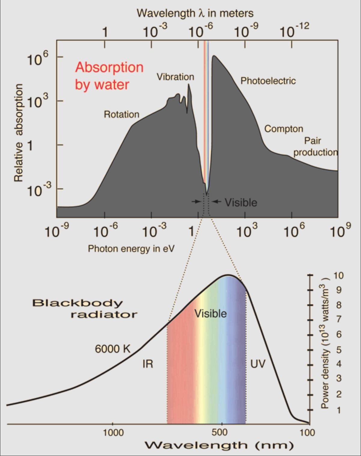 The absorption of electromagnetic radiation by water, with the visible window