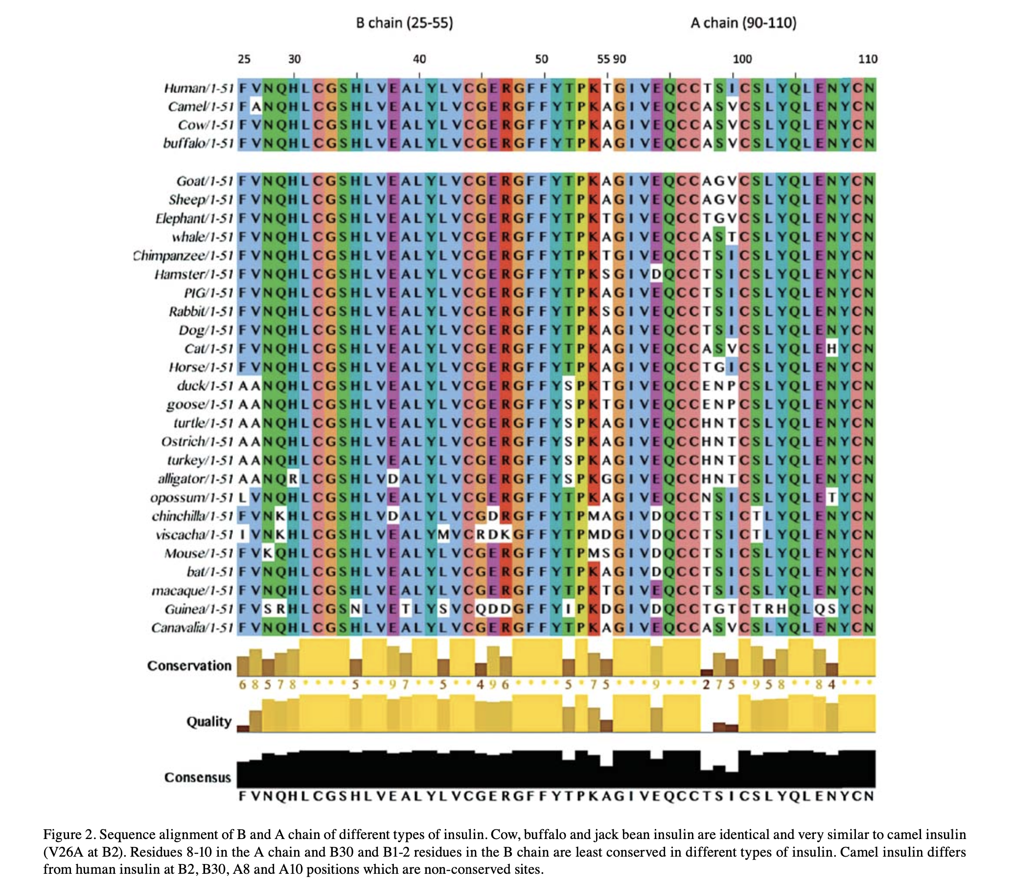 Insulin sequence alignment across species, mostly conserved