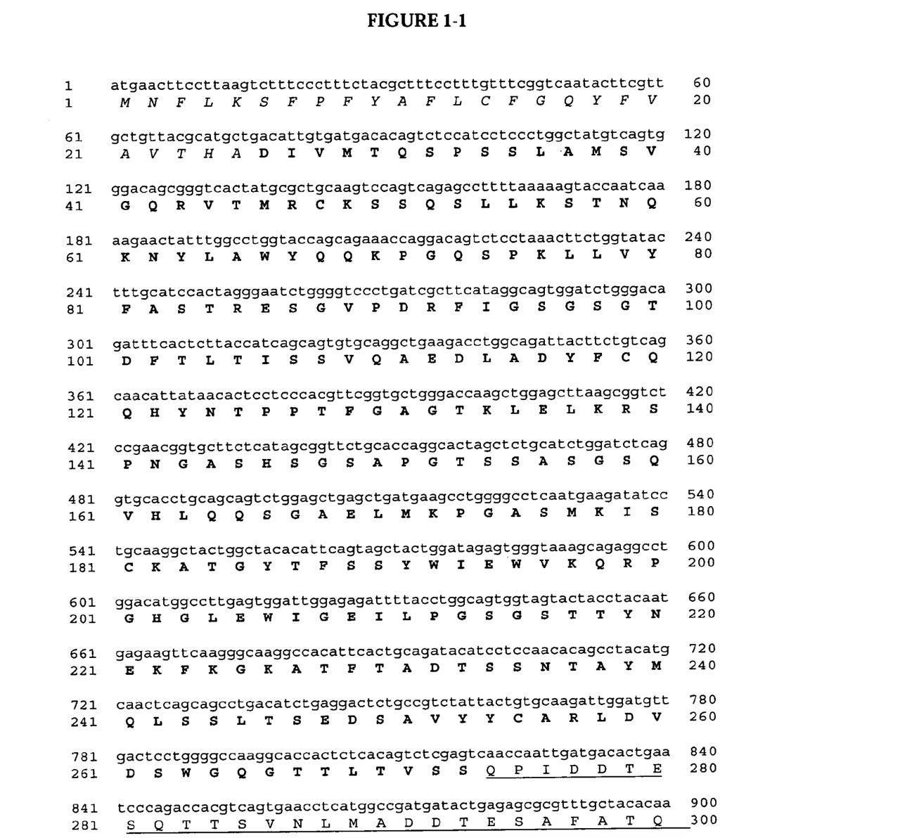 A printout of an insulin DNA sequence from a patent