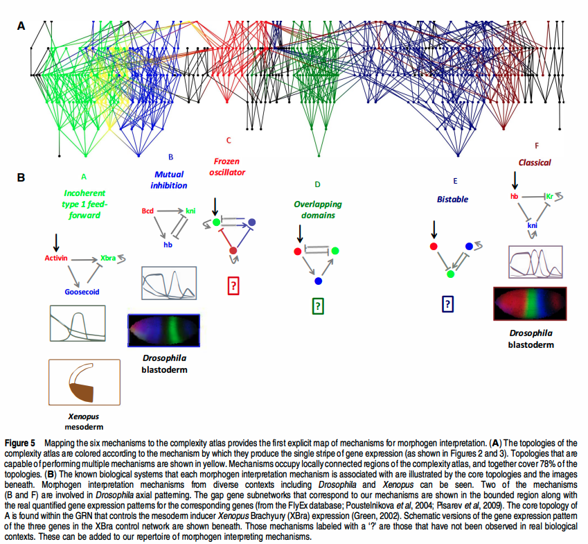 The inferred state space of a gene regulatory network