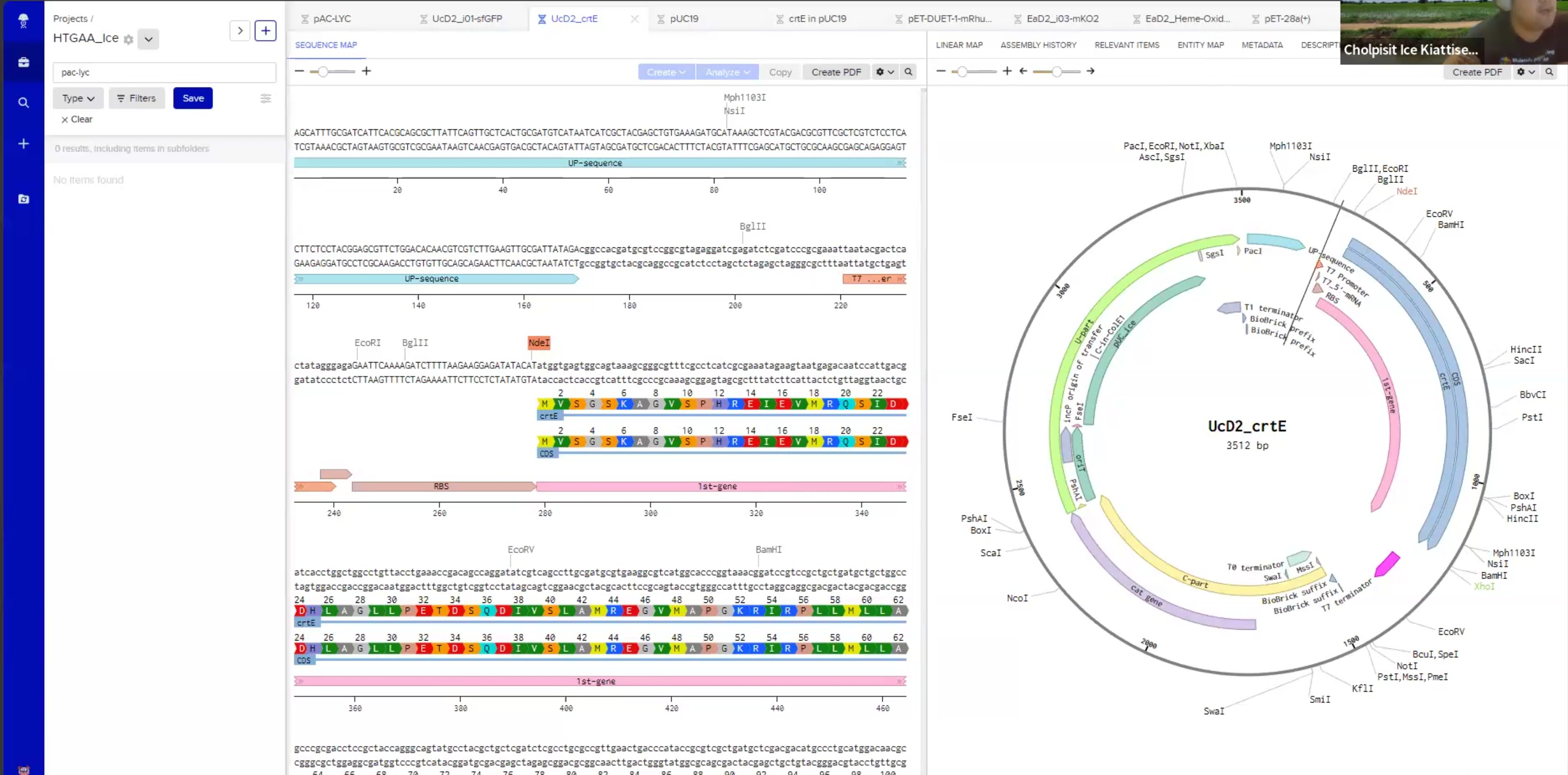 Benchling sequence and plasmid editor