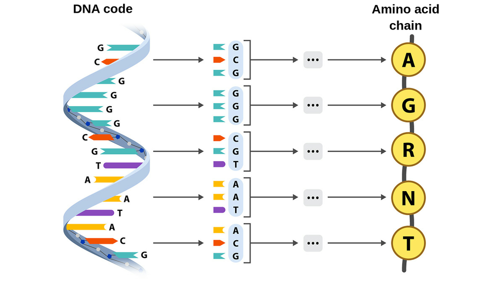 Central Dogma