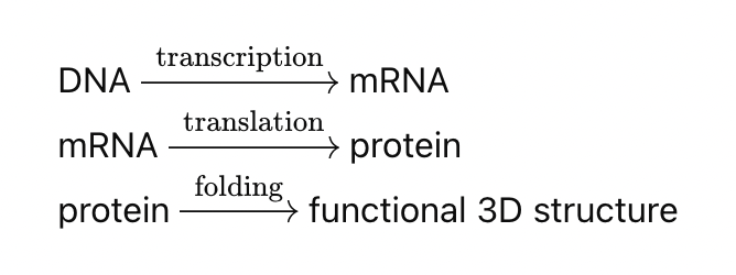 Screenshot 2026-02-08 at 4.33.13 PM.png
